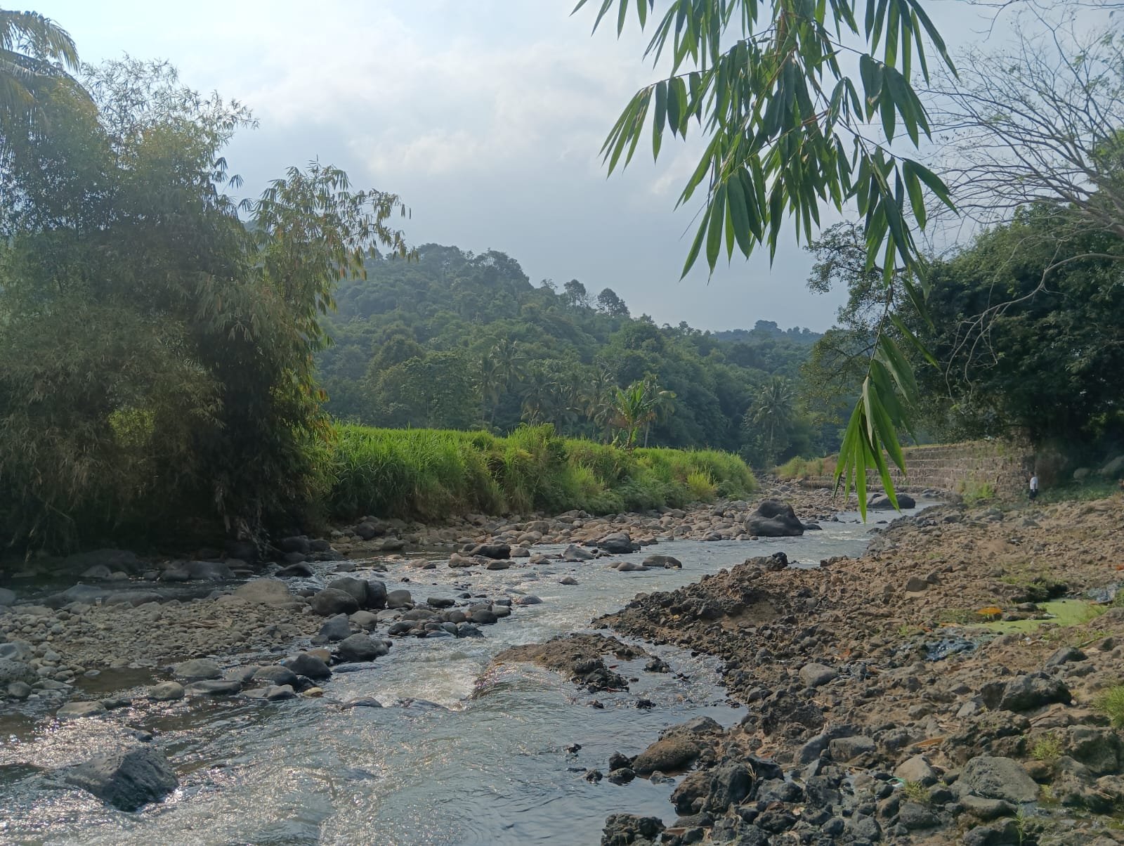 Papayan